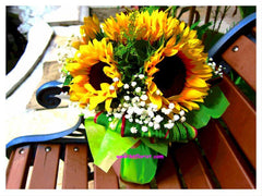 My Sunshine  - FBQ1050