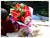 Anthurium Bouquet - FBQ1077