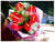 Anthurium Bouquet - FBQ1077