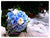 Hydrangea n Rose Bridal Bouquet  - WED0129
