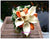 Endless Elegance- WED0132