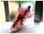 Magic Love  - FBQ1085val