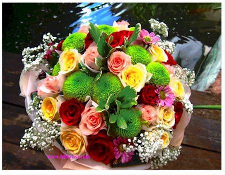Colour of Joy - FBQ1098val