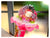 Cupcakes Bouquet     - BBQ2023