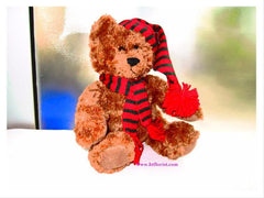 9.9 Inch Scarf Bear     - MOD628