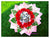 Celebration Bouquet - FBQ1106