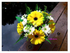 Yellow Blooms  - WED0512