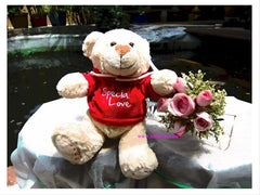 12 Inch Special Love  Bear     - BEK543