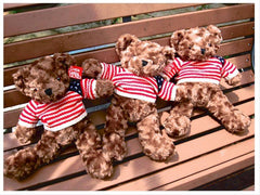 16 Inch Teddy Bear    - ALI008