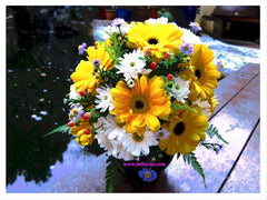 Yellow n White Blooms - TBF4052