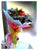 Gerbera n Rose Bouquet - FBQ1114