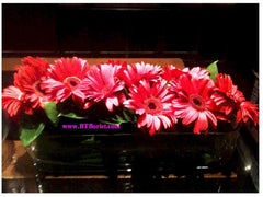 Gerbera Long Arrangement - WED0535