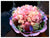 Jolly Bouquet       - FBQ1134