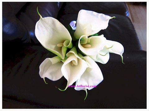 Calla Lilies  - WED0163
