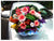 Bright Hues  - FLB5015