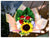 Sunflower Mix   - FBQ1146