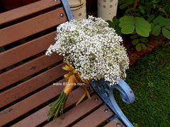 Baby Breath Bridal Bouquet - WED0212