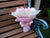 Rose w Chocolate Bouquet  - CHO1255
