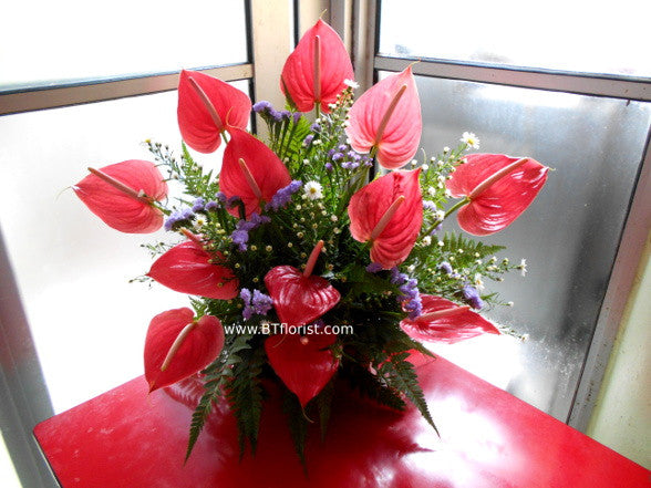 anthurium flower arrangement pictures Anthurium Arrangement