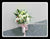 Simple Lily Bridal Bouquet  - WED0157