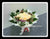 Champagne Rose Bouquet     - FBQ1999