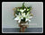 Lily Bouquet  - FBQ2087