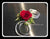 Fresh Rose Wrist Corsage - WED0382