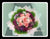 Pink Roses    - FBQ1171