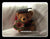 Graduation Brown Bear w Fresh Flower - BWF3592