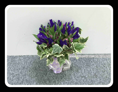 Iris Bridal - WED0109