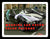 Wedding Car Decoration Value Package - PAC8082