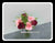 Rose & Gerbera in Vase - TBF4150