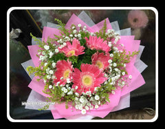 Gerbera Bouquet   II    - FBQ1396
