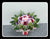 Red & Pink     - FBQ1123