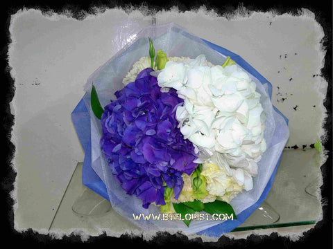 Sweet Hydrangea Bouquet  - FBQ1177