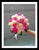 Pink n Champagne - WED0293