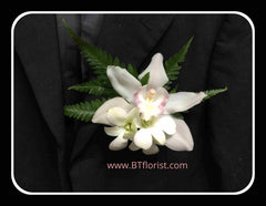 Cymbidium Corsage VII - WED0569