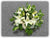 White/Green Theme - WED0549