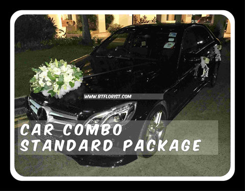 Car Decoration Combo Standard Package - PAC8063