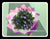 Phoenix Flower Bouquet       - FBQ1233