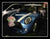 Simple Theme - WED0654