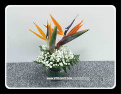 Bird of Paradise Arrangement - TBF4114