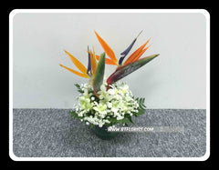 Bird of Paradise Arrangement II- TBF4115