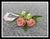 Fresh Rose Wrist Corsage - WED0334