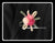 Artificial 3 Rose Corsage  - ART0419