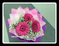 Gerbera Bouquet  II     - FBQ1151