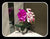 Simple Artificial Orchid   -ART4065
