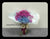 Colour Baby Breath Bouquet      - FBQ1536