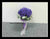 Hydrangea Bridal Bouquet  - WED0173