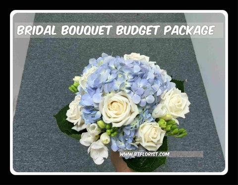 Bridal Bouquet Budget Package - PAC8091